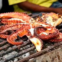 Octopus