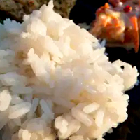 Vegetable coco with rice